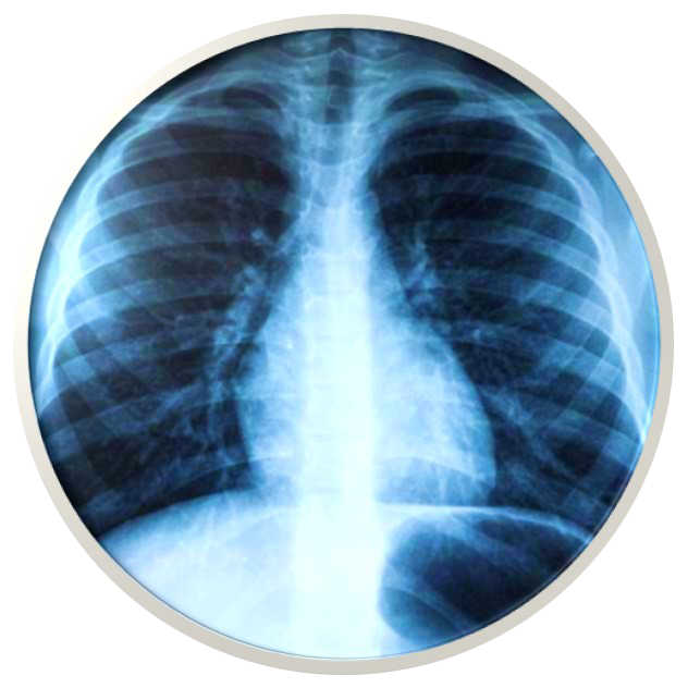 Internal Medicine